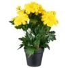 B&M Zinnia Plant Pot - Yellow